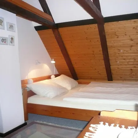 Gesing 2 Apartment *